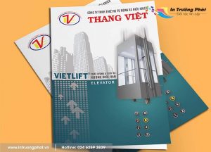 In catalogue mọi số lượng cho doanh nghiệp