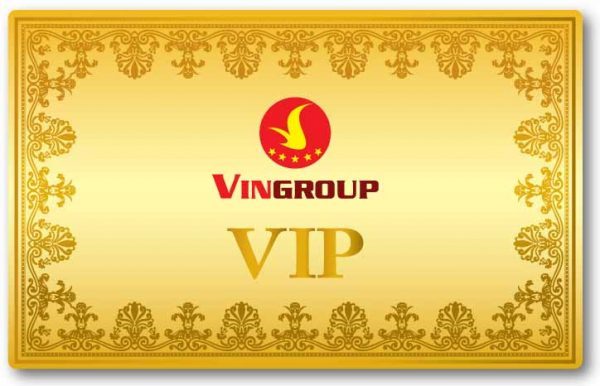 in-the-vip